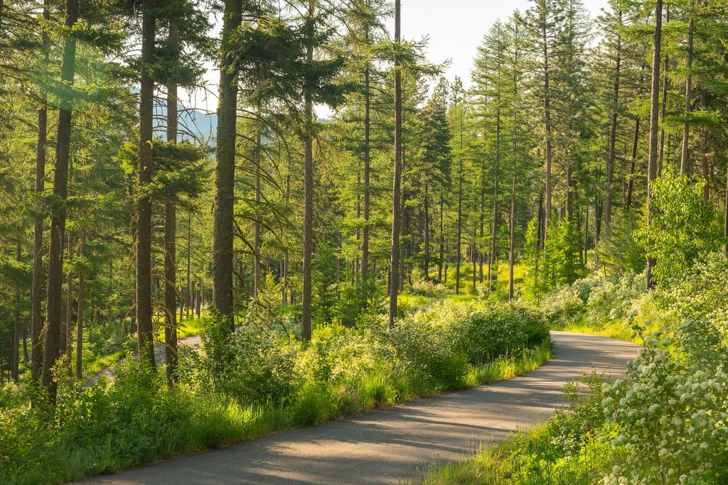 6601 Russian Joe Road, Missoula, MT 59802 photo 5