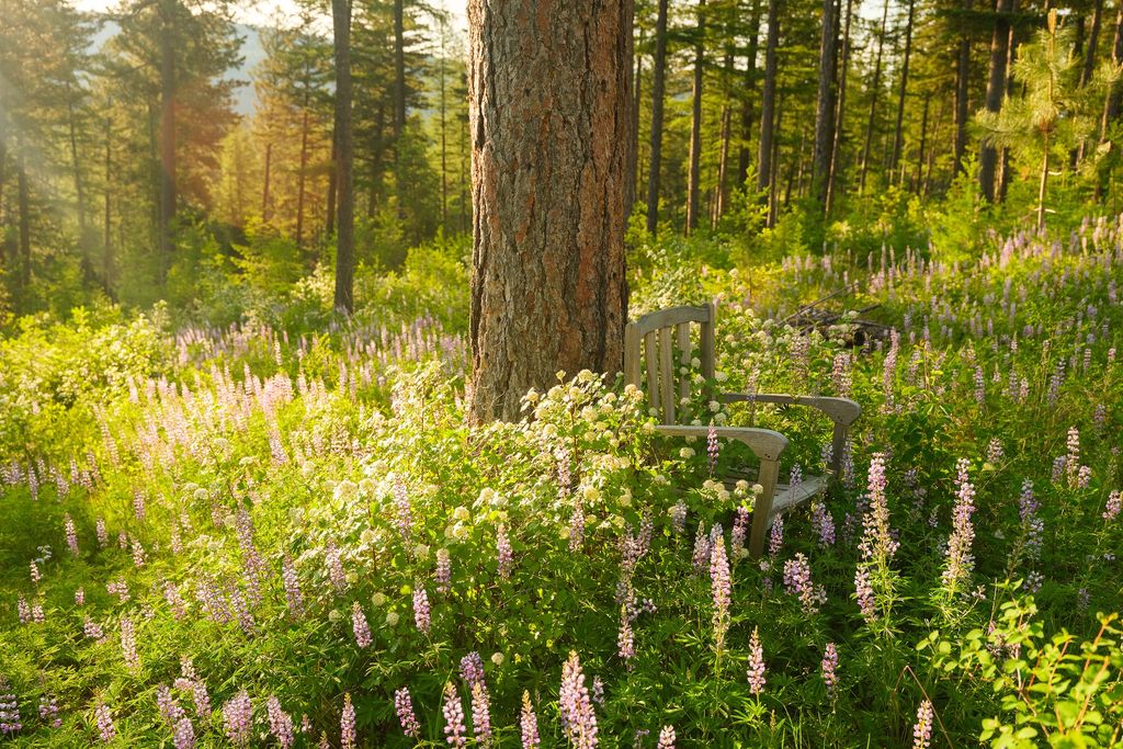 6601 Russian Joe Road, Missoula, MT 59802 photo 59