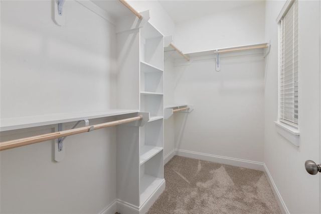 5817 Crape Court, Lake Charles, LA 70605