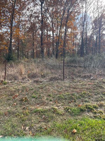 390 CR 2978, Hughes Springs, TX 75656