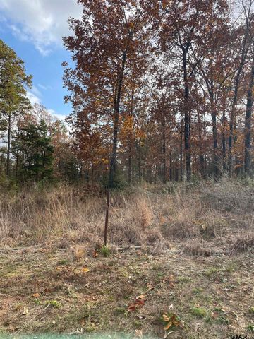 390 CR 2978, Hughes Springs, TX 75656