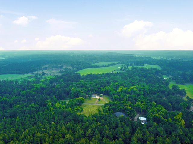 390 CR 2978, Hughes Springs, TX 75656