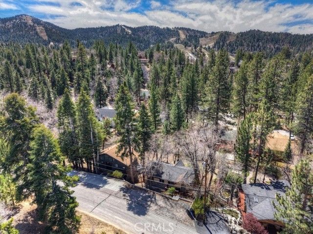 43335 Bow Canyon, Big Bear Lake, CA 92315