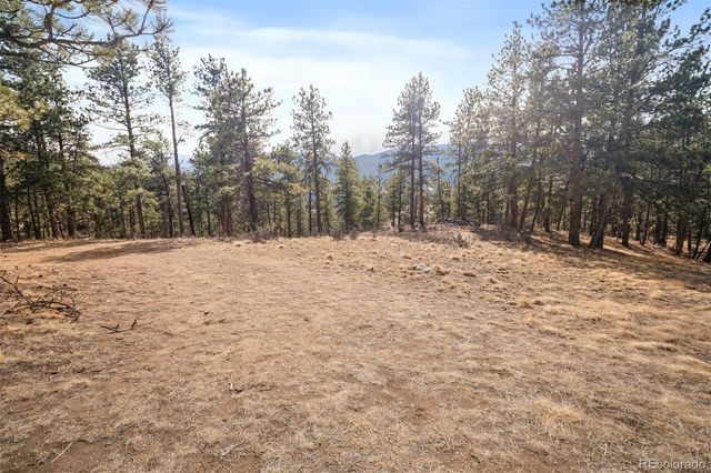 260 Bailey Drive, Bailey, CO 80421