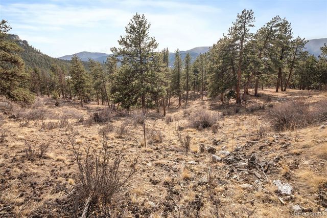 260 Bailey Drive, Bailey, CO 80421
