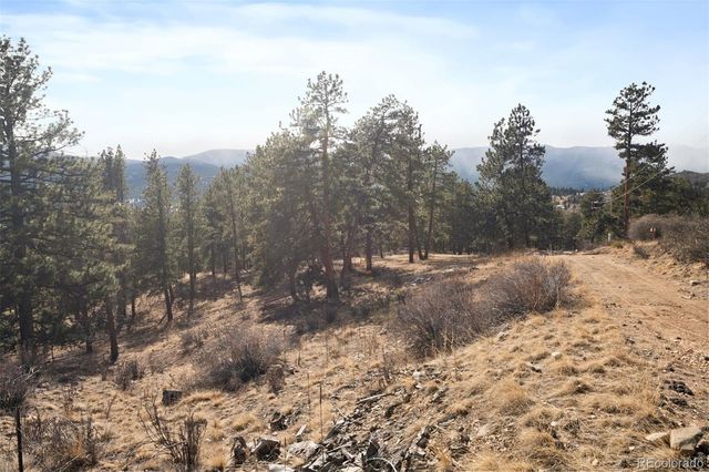 260 Bailey Drive, Bailey, CO 80421