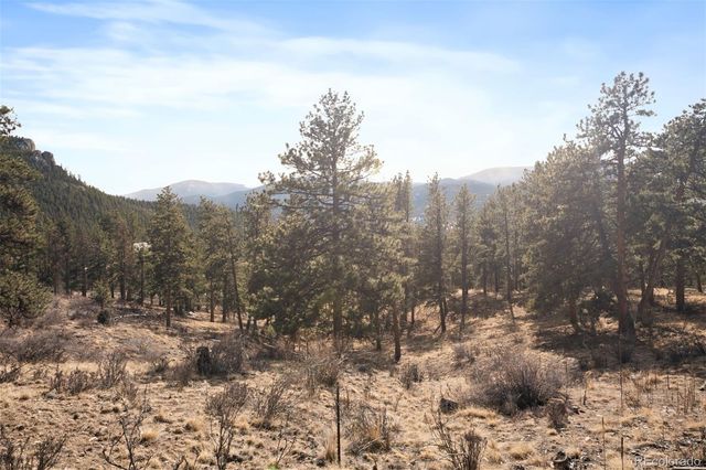 260 Bailey Drive, Bailey, CO 80421