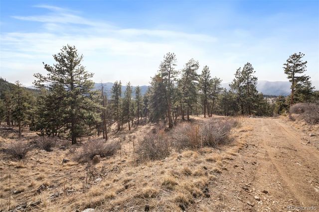 260 Bailey Drive, Bailey, CO 80421