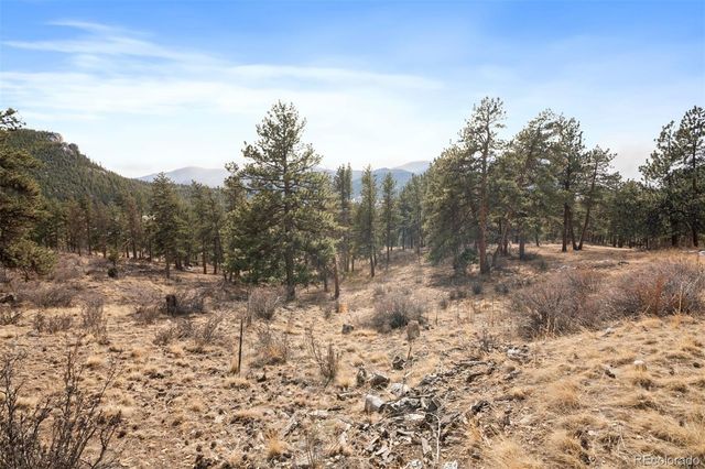 260 Bailey Drive, Bailey, CO 80421