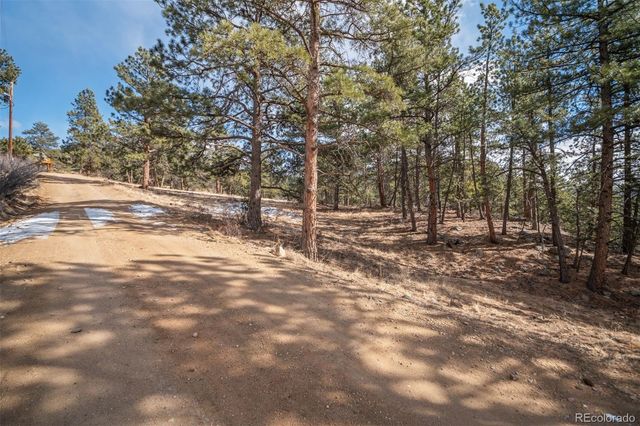 260 Bailey Drive, Bailey, CO 80421