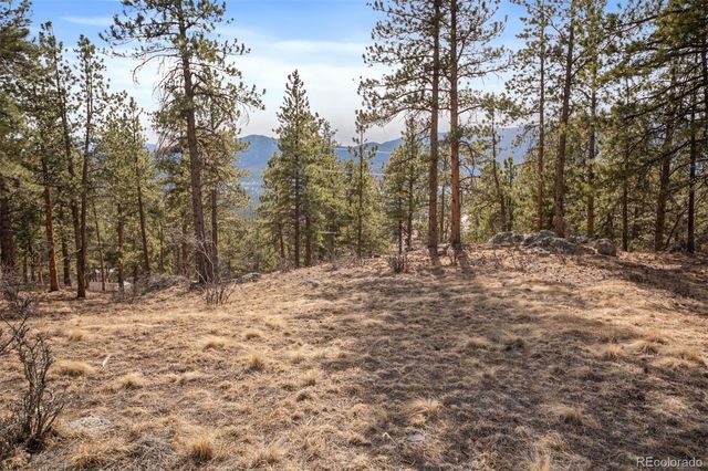 260 Bailey Drive, Bailey, CO 80421
