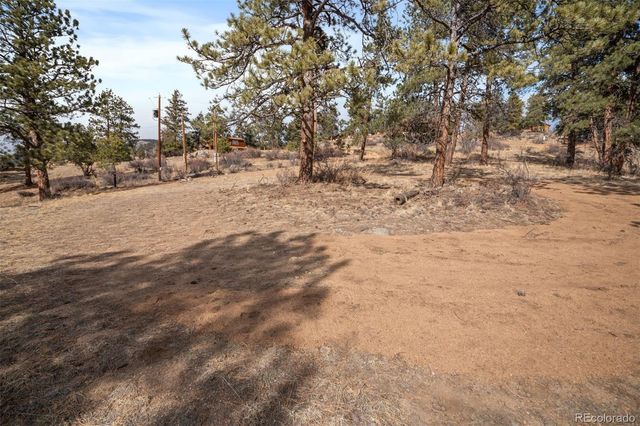 260 Bailey Drive, Bailey, CO 80421