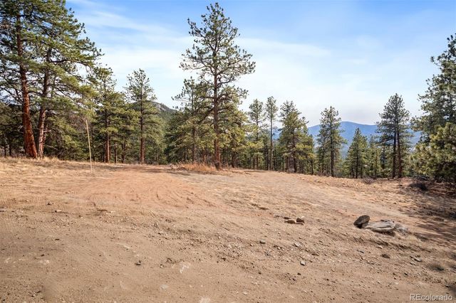 260 Bailey Drive, Bailey, CO 80421