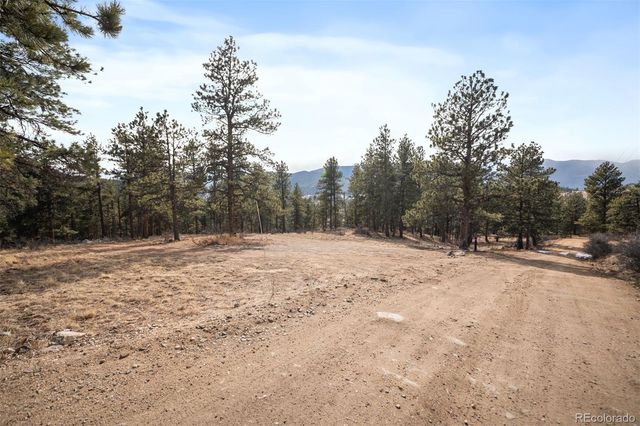260 Bailey Drive, Bailey, CO 80421