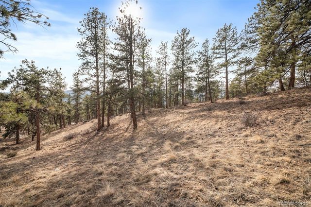 260 Bailey Drive, Bailey, CO 80421