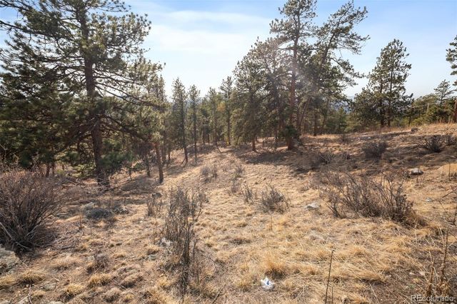 260 Bailey Drive, Bailey, CO 80421