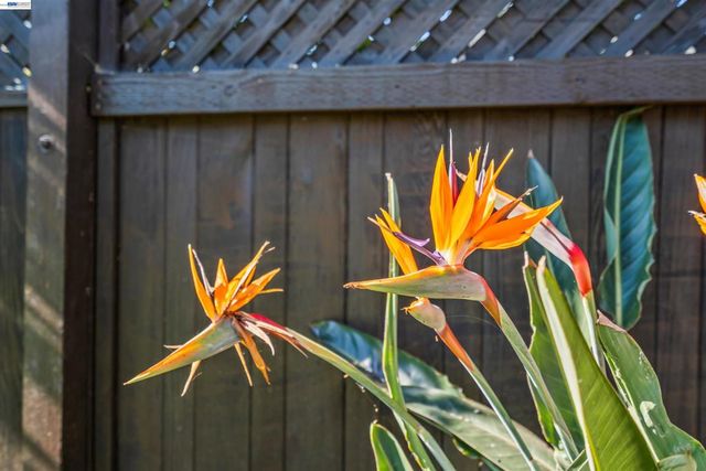 1573 Castro Street, San Leandro, CA 94577