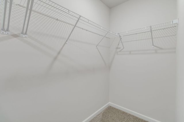 1898 Lacebark Drive, Sumter, SC 29153