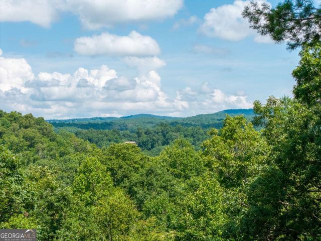 66 Briar Creek Court, Morganton, GA 30560