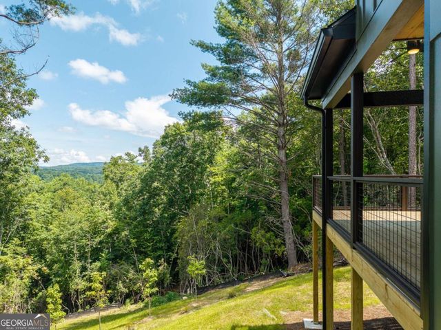 66 Briar Creek Court, Morganton, GA 30560