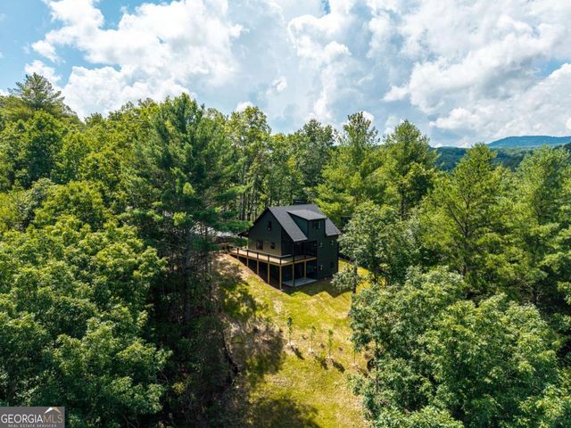 66 Briar Creek Court, Morganton, GA 30560