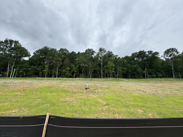 6017 Elliott Court, Arrington, TN 37014