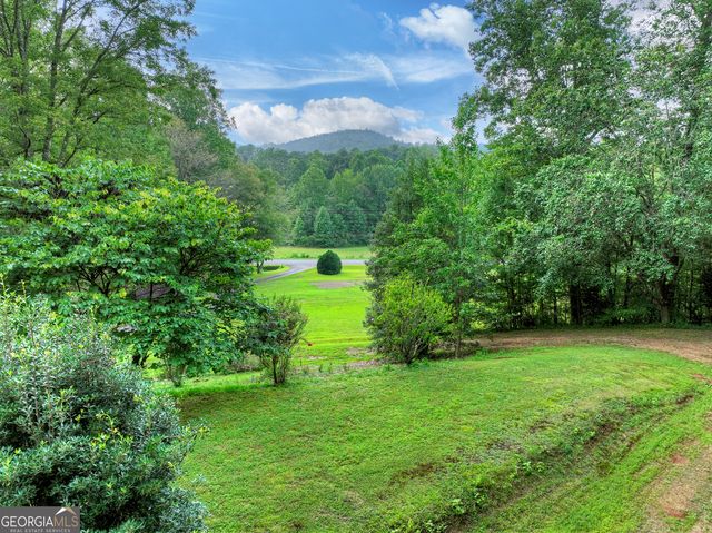 1362 Cherry Log Street, Cherry Log, GA 30522