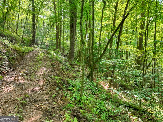 1362 Cherry Log Street, Cherry Log, GA 30522