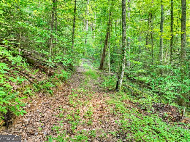 1362 Cherry Log Street, Cherry Log, GA 30522