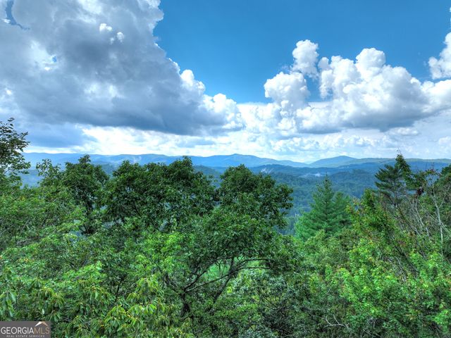 1362 Cherry Log Street, Cherry Log, GA 30522