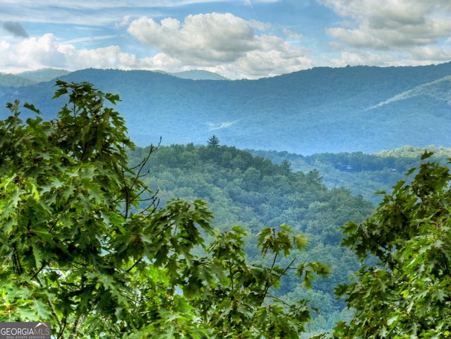 1362 Cherry Log Street, Cherry Log, GA 30522