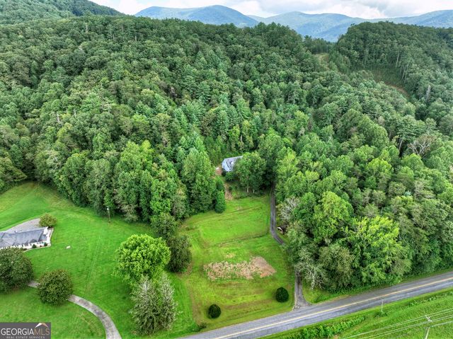 1362 Cherry Log Street, Cherry Log, GA 30522