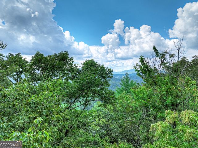 1362 Cherry Log Street, Cherry Log, GA 30522