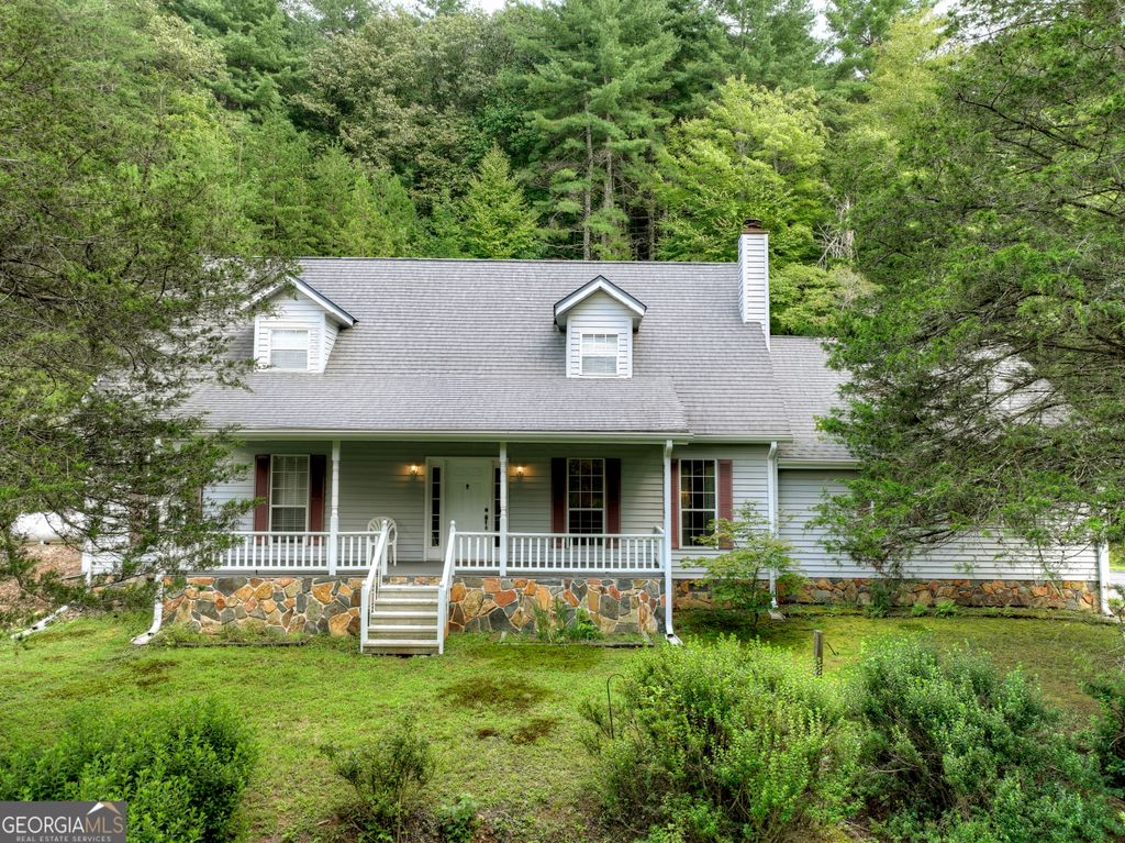 1362 Cherry Log Street, Cherry Log, GA 30522