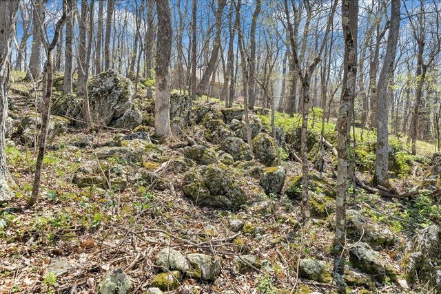 115 Hemlock DR, Wintergreen, VA 22958