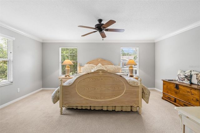 12589 STREAMDALE DRIVE, Tampa, FL 33626