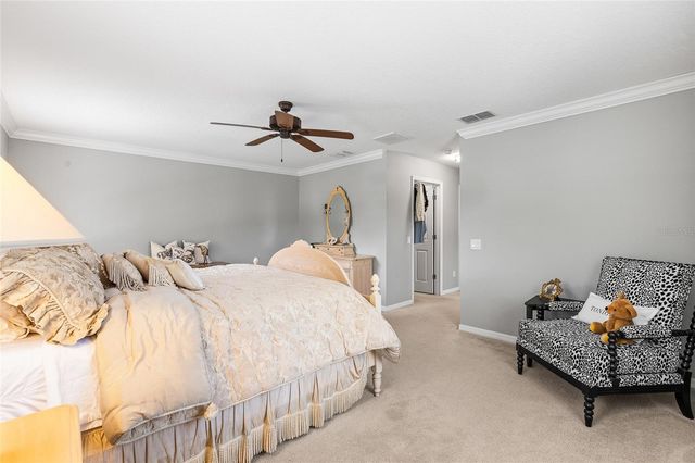 12589 STREAMDALE DRIVE, Tampa, FL 33626