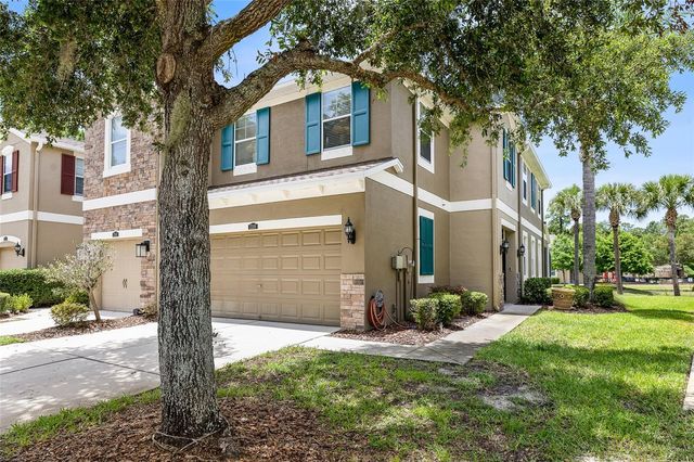 12589 STREAMDALE DRIVE, Tampa, FL 33626