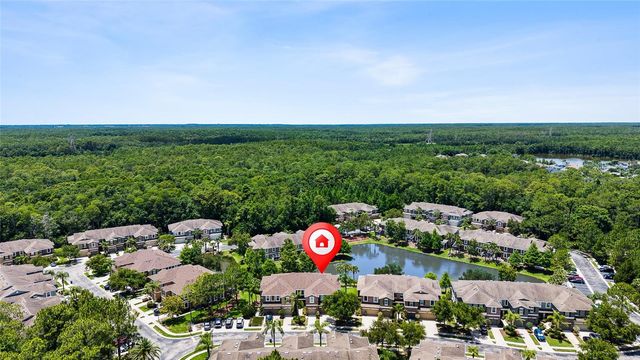 12589 STREAMDALE DRIVE, Tampa, FL 33626
