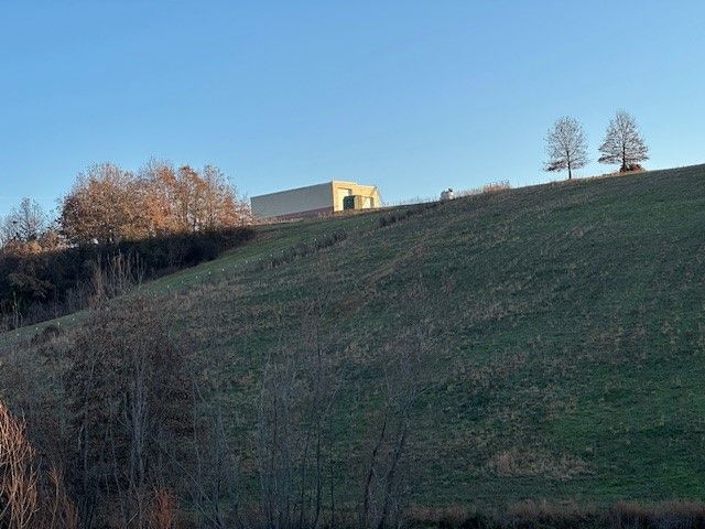 398 Donkey Trail, Everton, AR 72633