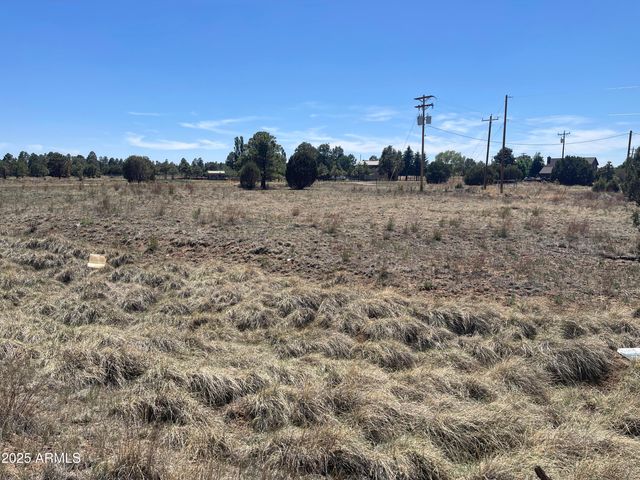 2278 Meadow Lane 179, Overgaard, AZ 85933