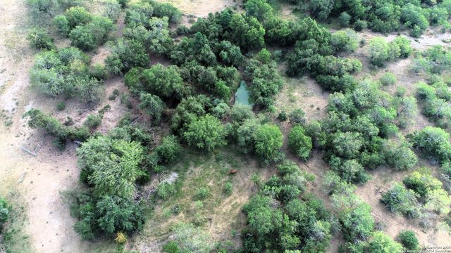 199 ACRES CR 252, Stockdale, TX 78160