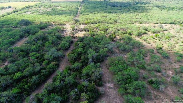199 ACRES CR 252, Stockdale, TX 78160