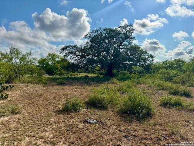 199 ACRES CR 252, Stockdale, TX 78160