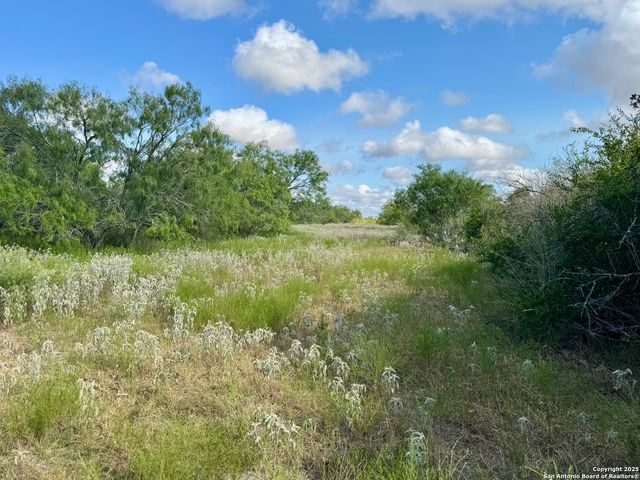 199 ACRES CR 252, Stockdale, TX 78160