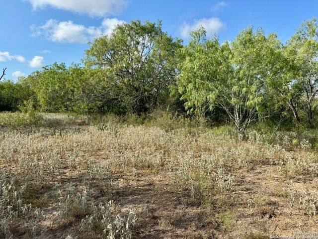 199 ACRES CR 252, Stockdale, TX 78160