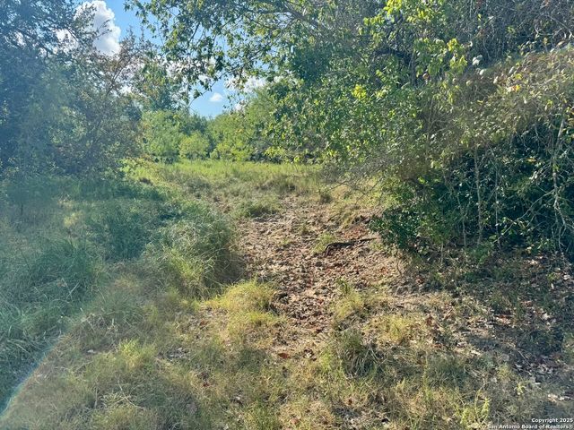 199 ACRES CR 252, Stockdale, TX 78160