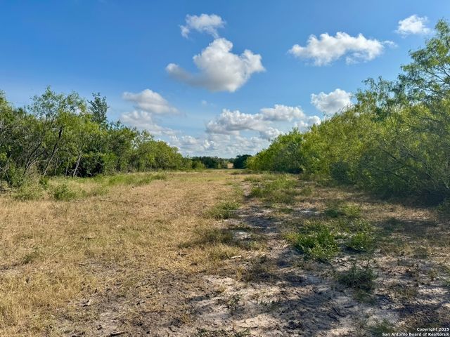 199 ACRES CR 252, Stockdale, TX 78160