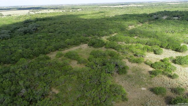 199 ACRES CR 252, Stockdale, TX 78160