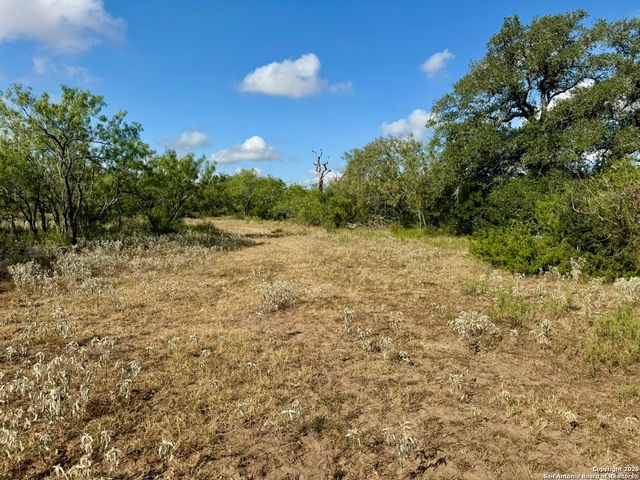 199 ACRES CR 252, Stockdale, TX 78160